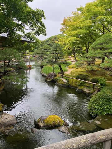 写真3 庭と池2