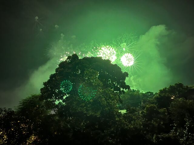 �̿�11  �ֲ�2