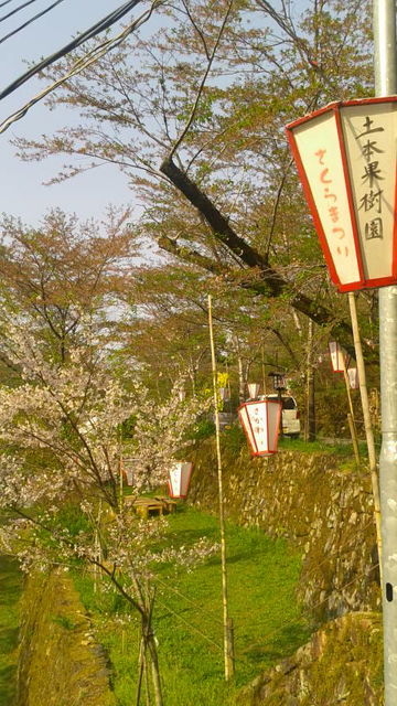 (17)�պ���ƻ3