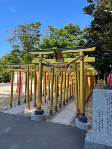 �̿�20  �����Ļ��