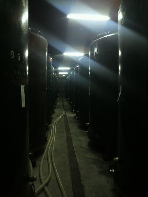 ����¢��