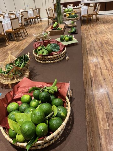 写真1 酢みかんズラリ