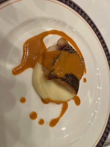 �̿�15  ������