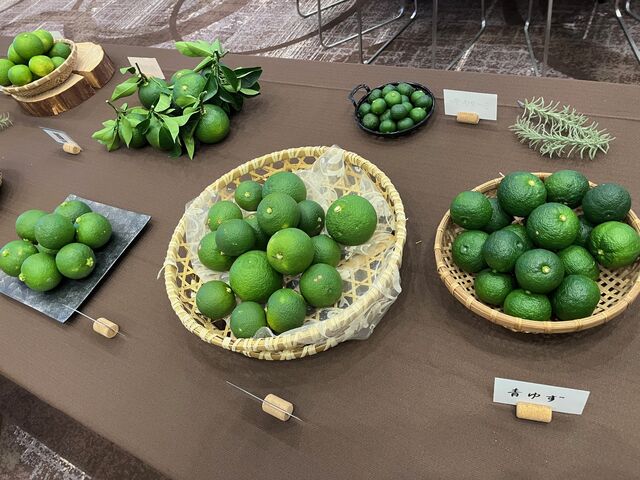 写真6 酢みかん展示3