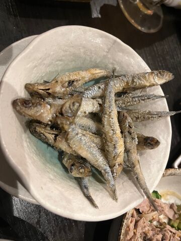 写真21 トンゴロイワシ