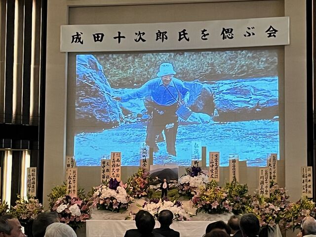 �̿�29  ����������������