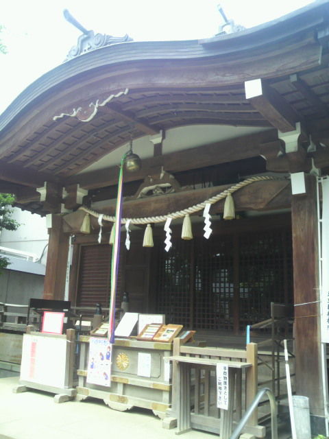 (1)ȷ��ȬȨ����