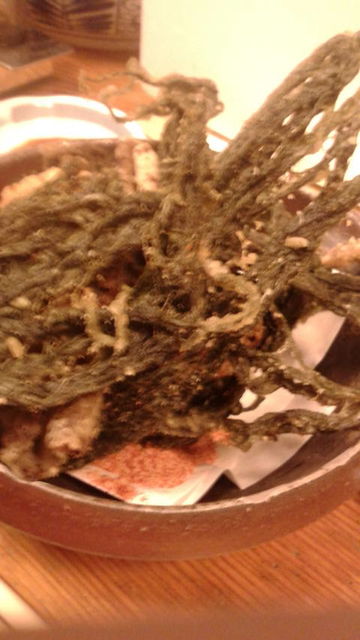 (24)��Υ�ŷ�פ�