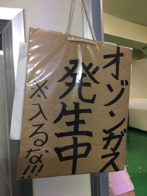 �̿�16 ���弼�˥�����ȯ������