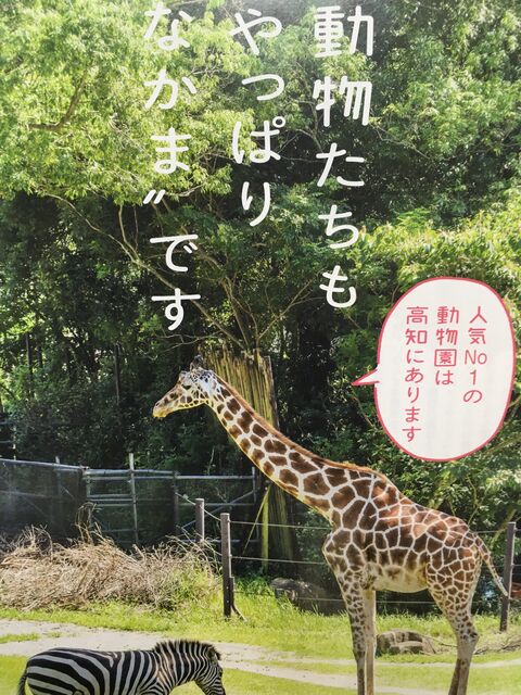 写真8 のいち動物公園