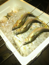 鮎に串