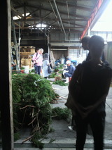 ���ӤŤ��긫��