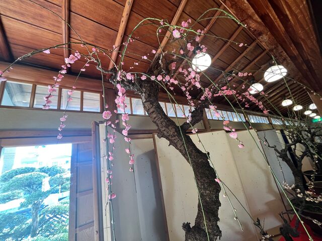 �̿�23  �繭�֤�����