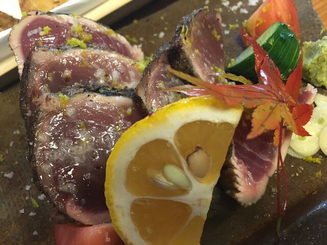 �̿�20 ��α�������