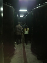 ���������¢¢����