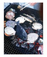 ����Ф�����Ĺ��Ϻ�����桦����