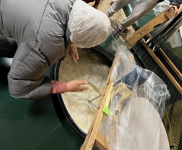 2024.2.23写真13 もろみ2