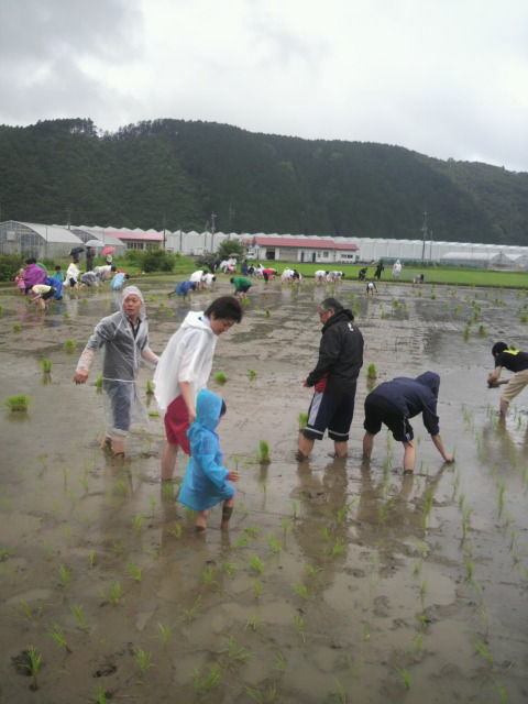 (8)田植え風景2