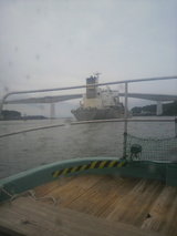 ������ǥå���������