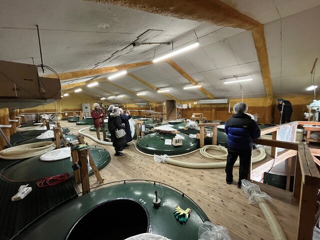 �̿�7  �Ź�¢