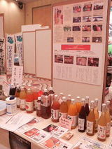 �Υ󥢥륳����