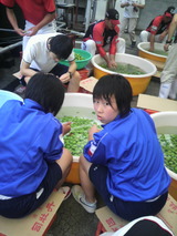 中学生ヘタ取り