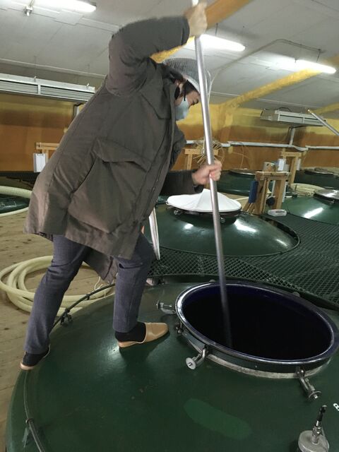 ¾®ÌîÂçÊ夵¤ó¡