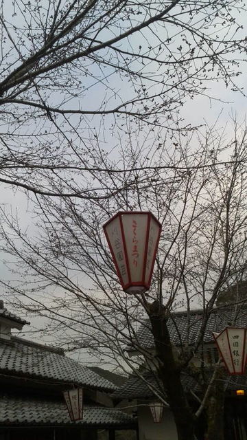 (8)�ָ���μ����餤�Ƥʤ�