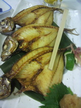 2012.9.6��ʪ.jpg