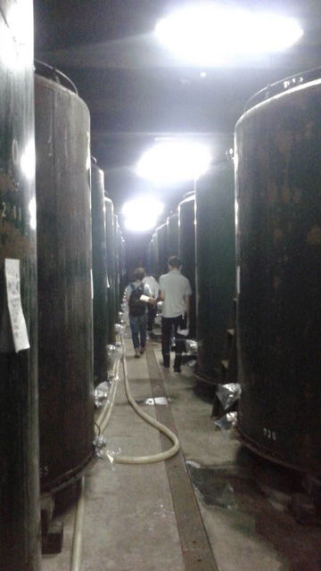 (1)¢��������