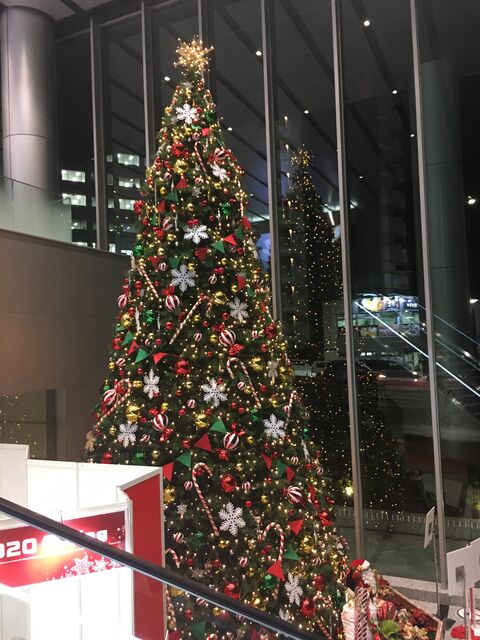 写真3 クリスマスツリー
