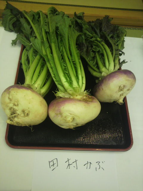 (2)田村カブ