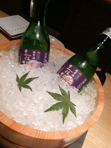 2008.7.23�ں���ð��