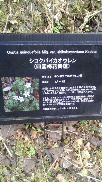 (10)�Х����������POP