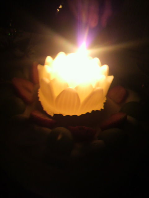 �С����ǥ��������Υ�������