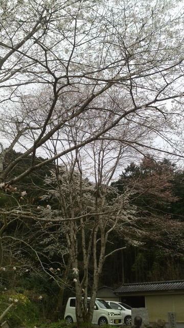 (5)�֤Τʤ���ƻ2