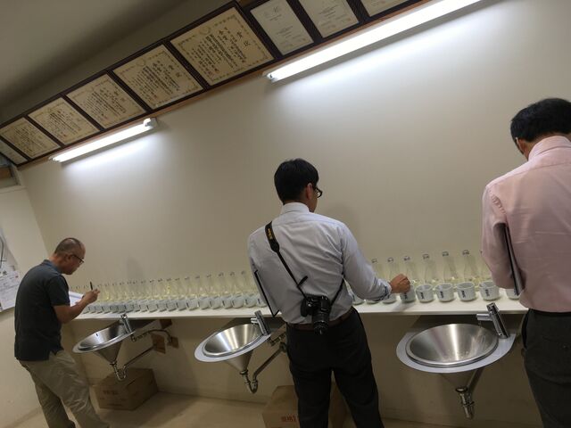 �̿�9 ����������