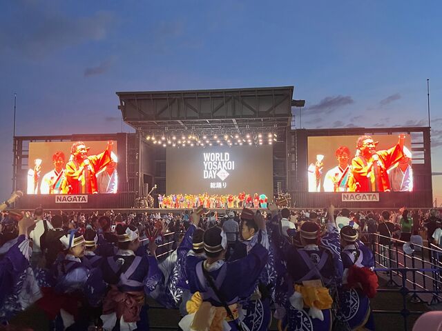 �̿�34  �������