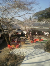 2011.4.4花見棟