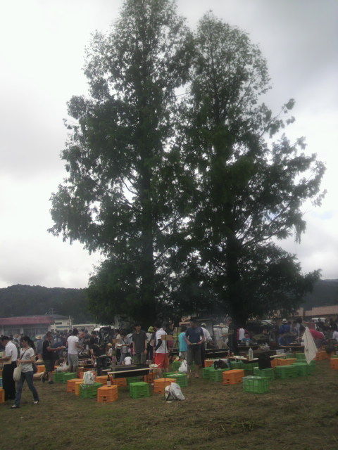 �᥿�����������ڤβ��˽���