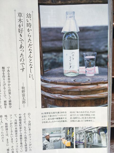写真3 ハナトコイシテ