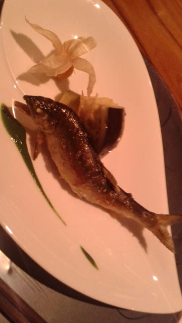 (8)����ú�оƤ�