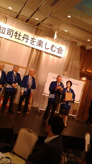 (33)����������