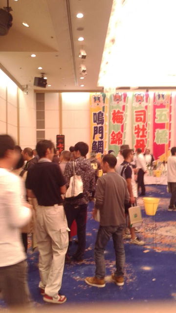 (17)���������