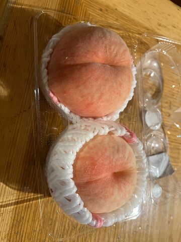 写真12 かりかり桃子2