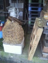 �濴�ˤʤ���ο�