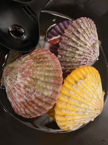 写真24 長太郎貝