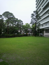三翠園庭園の緑