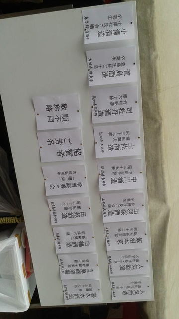 (11)����¢��̾