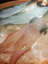 活イカの刺身2